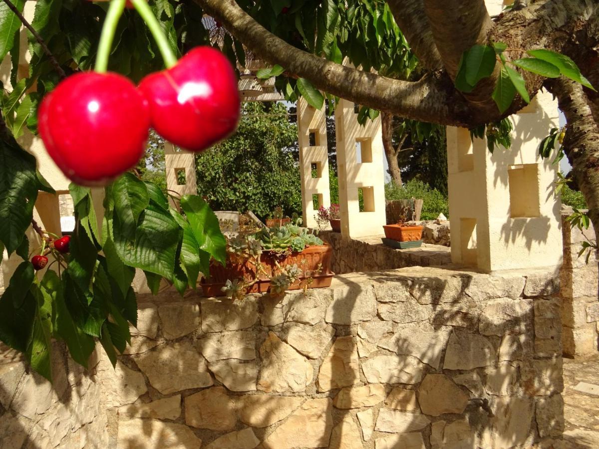 洛科罗通多 Trulli Di Zia Tata旅馆 外观 照片